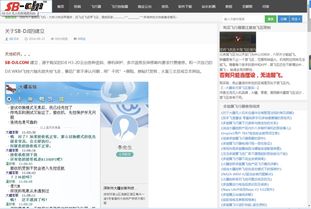 独家 专访炸鸡资讯站SB DJI创始人陈章 愤怒可消逝 但理想需永存